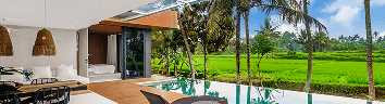Estimate Your Property's Earnings