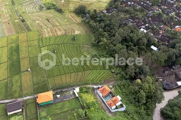Secluded Freehold 2450 sqm Land in Tabanan – Kaba Kaba – Build Your Dream Villa Amid Bali’s Natural Beauty