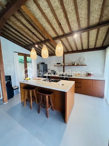 Modern Off-Plan 2 Bedroom Villa in Sanur Spacious Land & Exceptional Investment Opportunity
