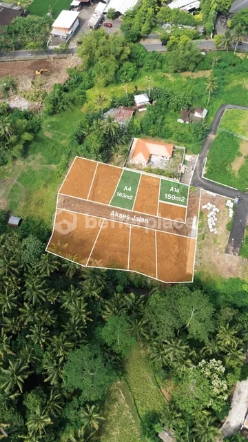 Build Your Private Tropical Sanctuary on Beautiful Freehold Land Just Minutes from Central Ubud with Captivating Jungle and River Views