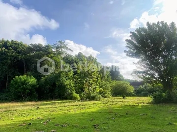 Stunning 400 Sqm Leasehold Land in Bukit Ungasan – Perfect for Luxury Villa or Boutique Retreat Development