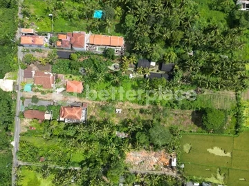 Exclusive Leasehold Land Offering in Ubud Perfect for Development