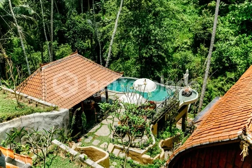 Ultimate Relaxation Jungle View Villa with Saltwater Infinity Pool in Ubud