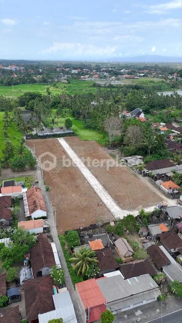 Build Your Dream Tropical Sanctuary in Ubud – Lodtunduh | Premium Freehold Land with Captivating Rice Field Views Only 10 Minutes from Central Ubud