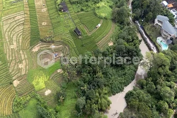 A Rare Investment Opportunity: Spacious Leasehold Residential 24.5 are Land in the Heart of Bali’s Green Oasis
