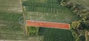 Prime 1340 sqm Land in Beraban, Tabanan, Ideal for Investment