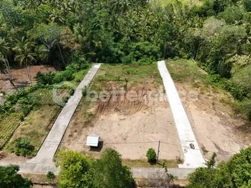 Affordable Bali Properties for Sale – Freehold Jungle-View Land Just Minutes to the Famous Balian Beach