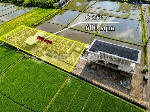 Skip the Groundwork, Start the Build: 600 sqm Kedungu Parcel with Complete Documentation and Solid Foundations