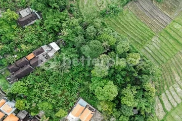 Your Dream Property Starts Here – 263 Sqm Leasehold Land in Prestigious Canggu