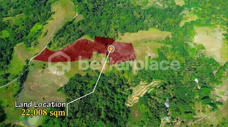 Prestigious 22,008 Sqm Freehold Property in Sumba Offering Serene Nature, Luxury Estate Potential, and Captivating Ocean Landscapes