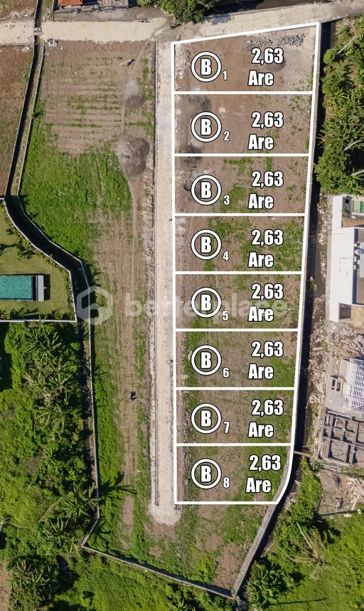 8 Plot Land Near Canggu – Block B of an 83 Are Land Leasehold Opportunity in Buduk