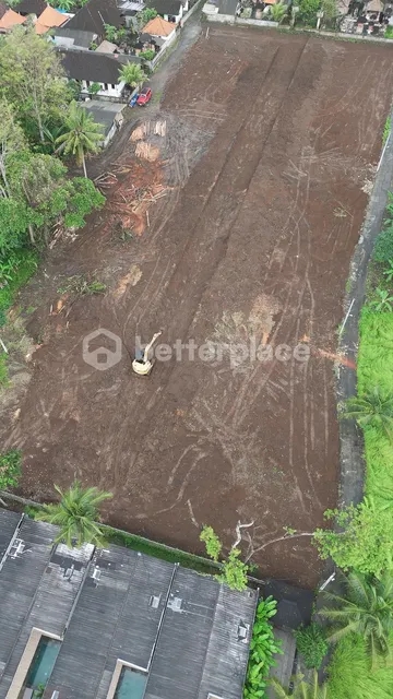 Secure a Premium Freehold Land Parcel in Ubud – Lodtunduh Featuring Picturesque Rice Field Views and an Unmatched Opportunity to Build Your Private Tropical Sanctuary