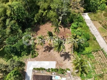 Affordable Bali Properties for Sale – Freehold Jungle-View Land Just Minutes to the Famous Balian Beach