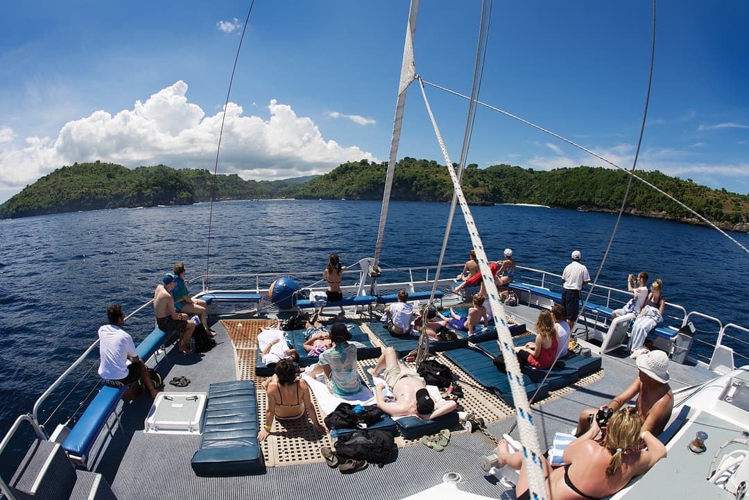 BH Aristocat Cruise