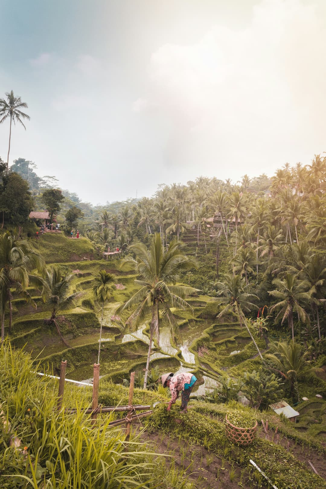 Bali Exotic Mountain - Image 3