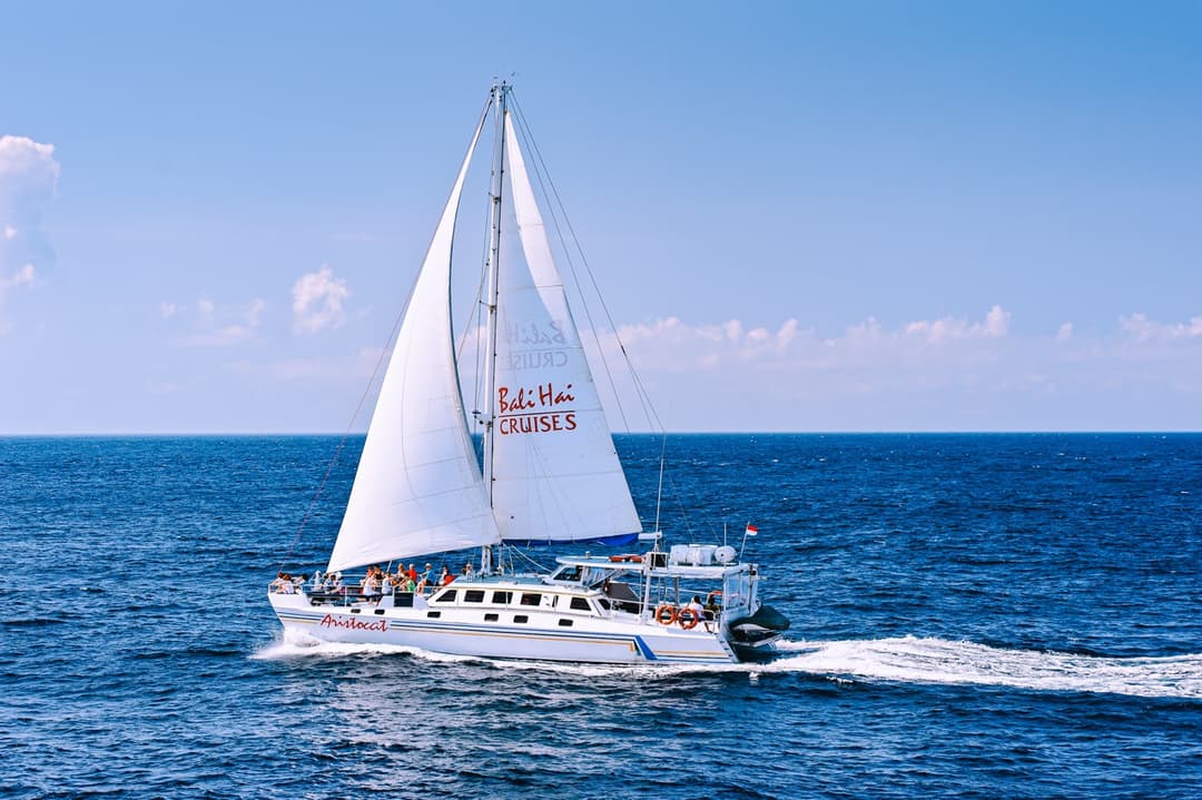 BH Aristocat Cruise - Image 6