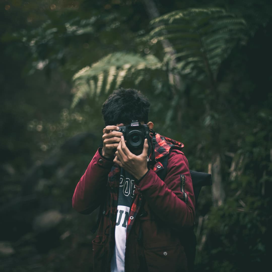Professional Photographer - Image 5