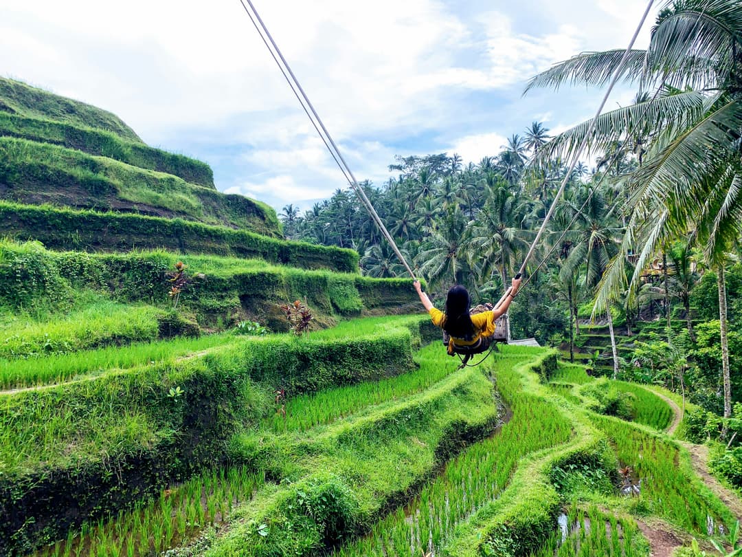 Bali Bedugul & Tanah Lot - Image 4
