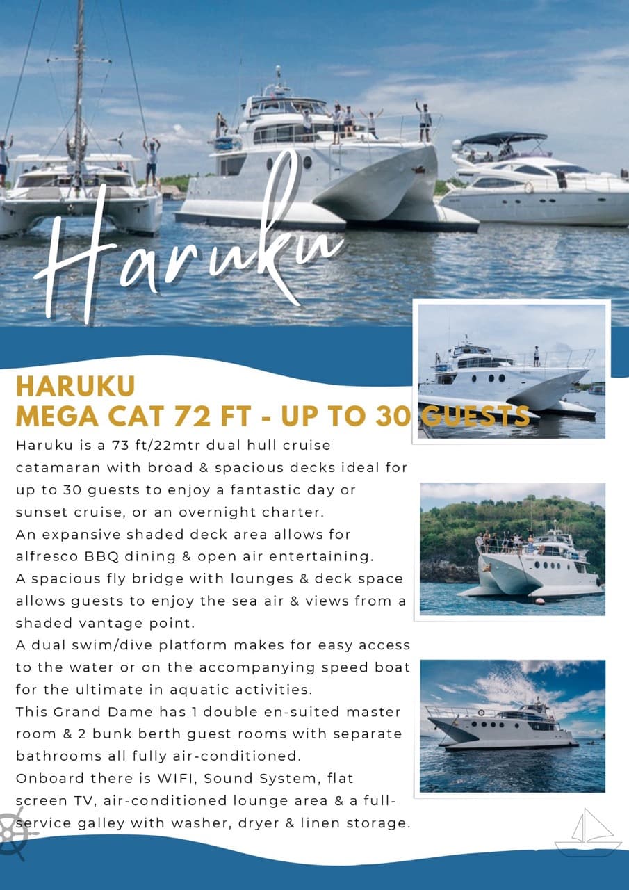 Private Yacht HARUKU - Image 2