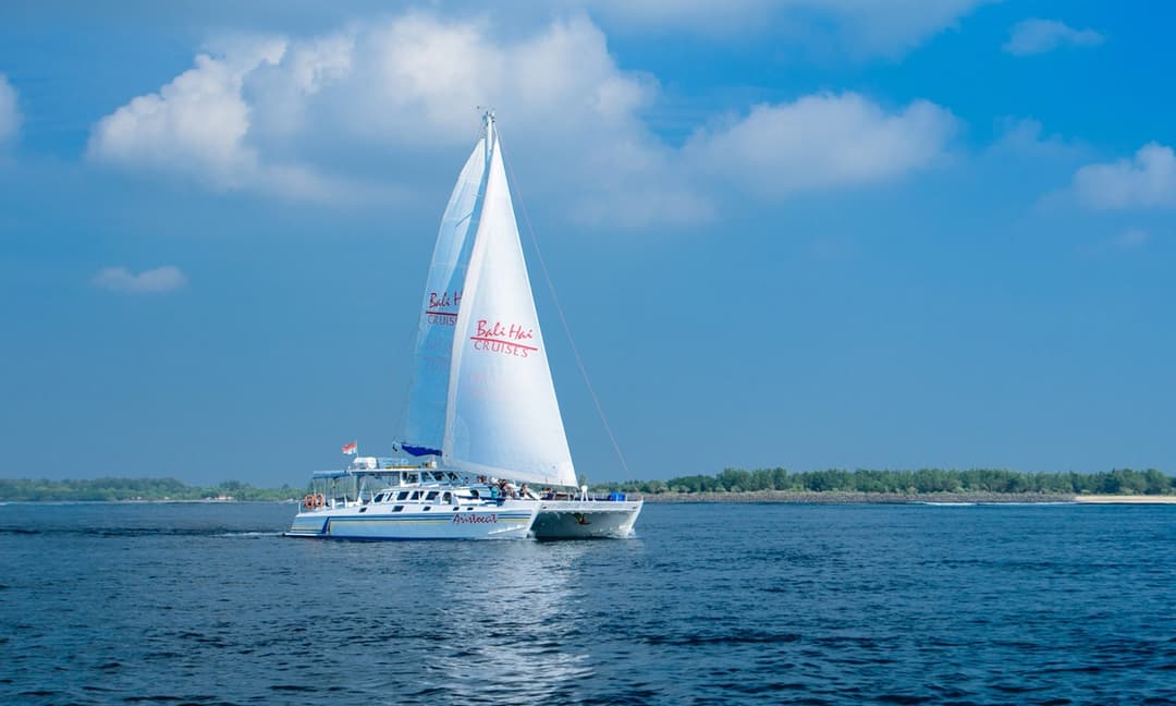 BH Aristocat Cruise - Image 3