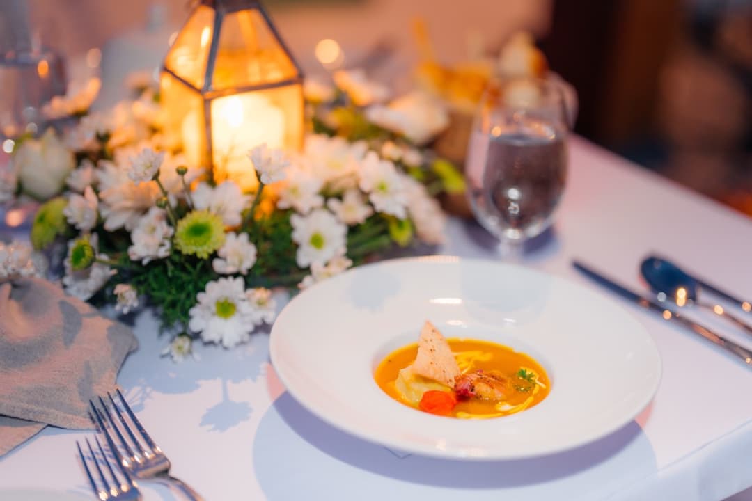 BH Aristocat Dinner - Image 5