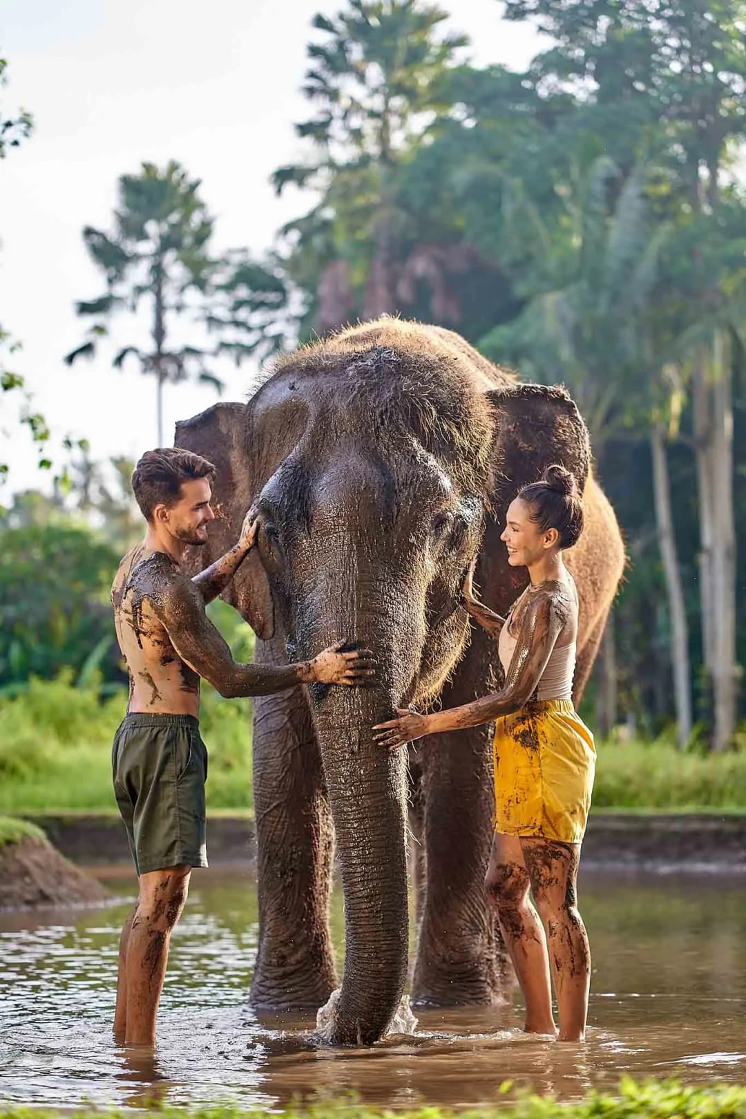 Elephant Mud Fun at Bali Zoo - Image 3