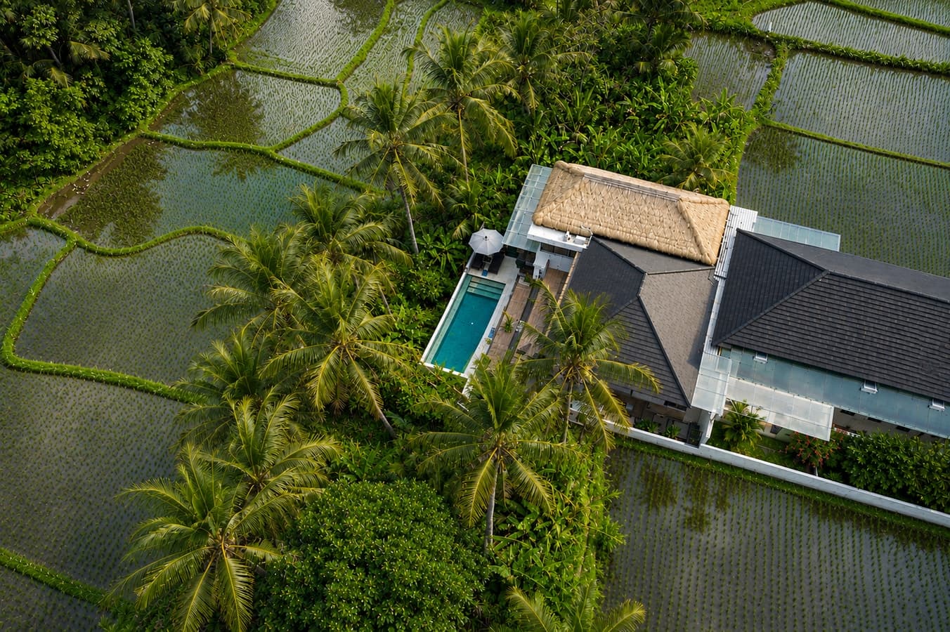 Bali View Ubud