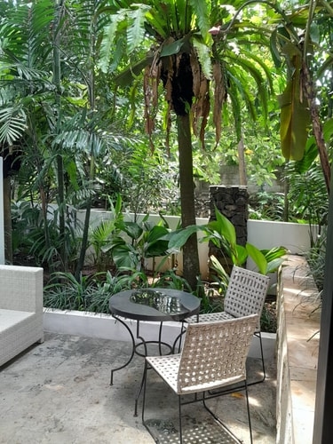 1BR Apart w/ Living Room, Kitchennete & Patio
