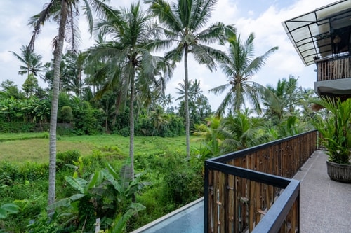 1BR Modern Ubud Junior Suite | Balcony Paddy Views