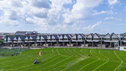 Tamora - 3BR Villa with Paddy View Pool, Canggu